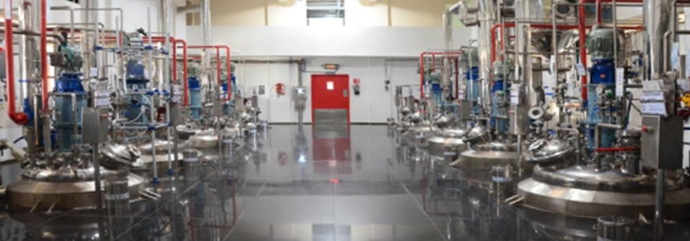 API Unit-V, Parwada (Andhra Pradesh, India)